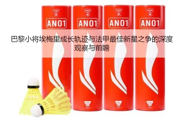 巴黎小将埃梅里成长轨迹与法甲最佳新星之争的深度观察与前瞻
